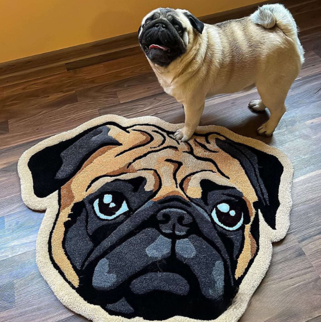Pet Shape Blanket